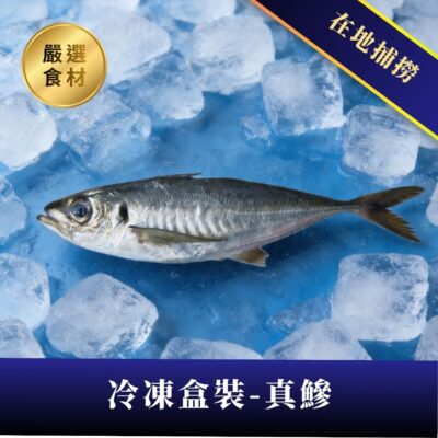 真鰺 - 冷凍盒裝10公斤
