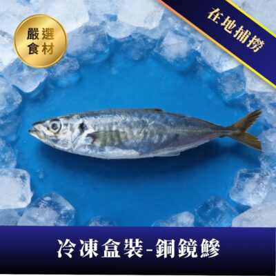 銅鏡鰺 – 冷凍盒裝10公斤