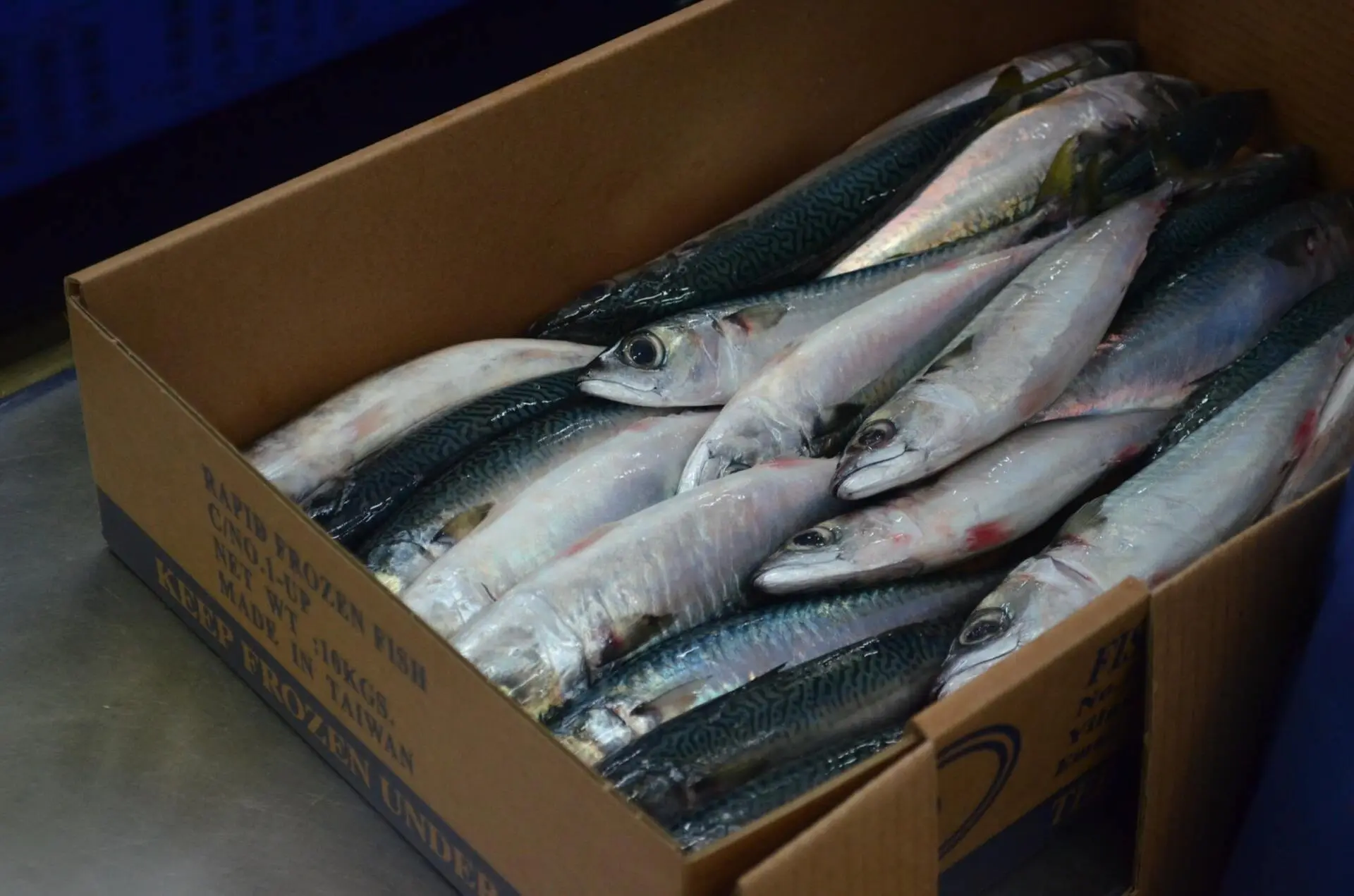 fishtreasure banner one step 1