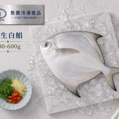 魚寶 白鯧 冷凍盒裝 500~600g